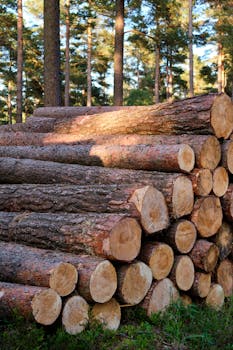 Vertical shot of stacked timber logs in a lush forest in Penrith, England.